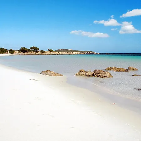 شقة Il Giardino Degli Oleandri-4 By Interhome ليسيا دي فاكا